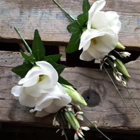 fwthumblisianthus buttonhole.jpg